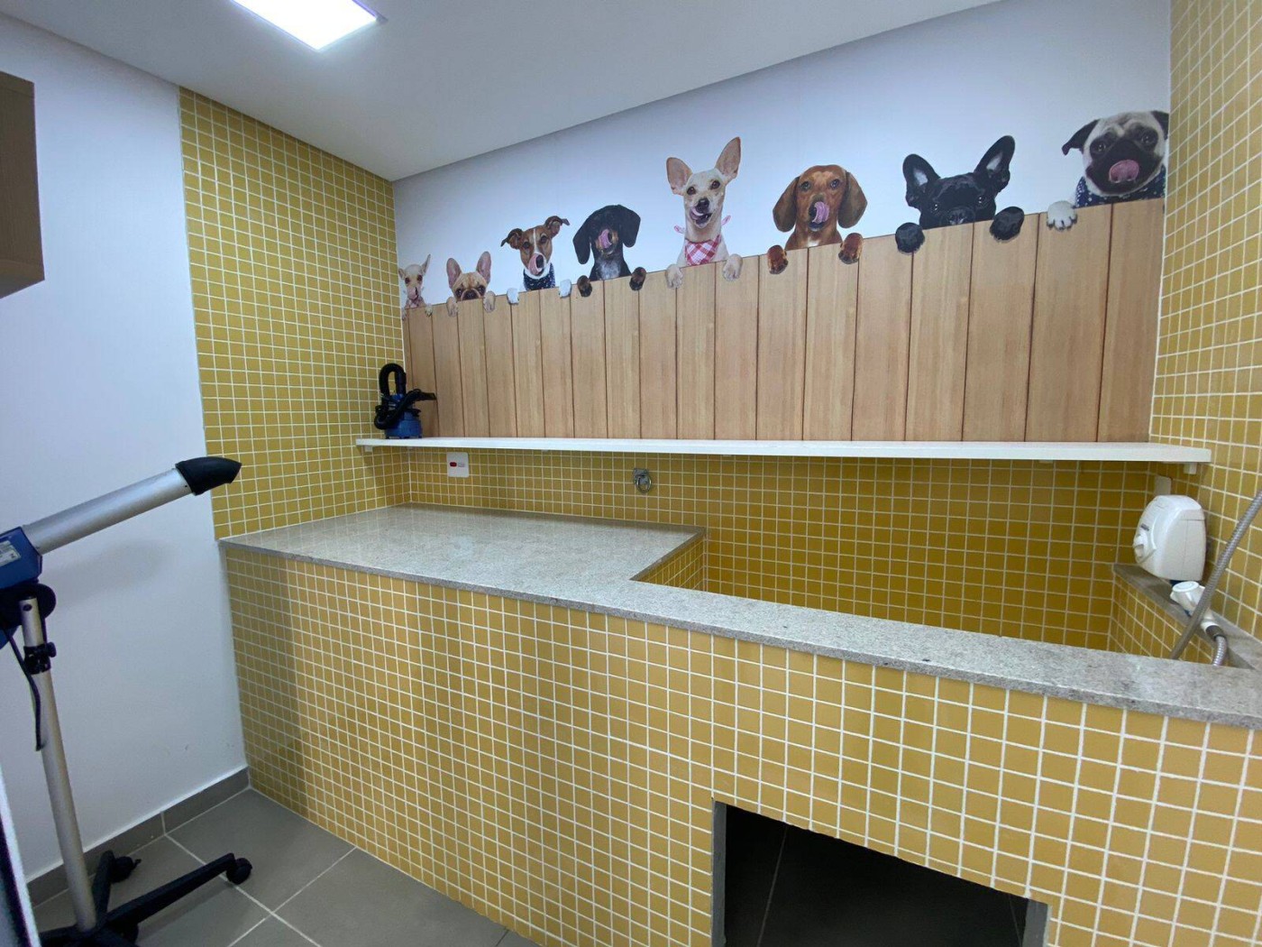 Apartamento, 2 quartos, 64 m² - Foto 27